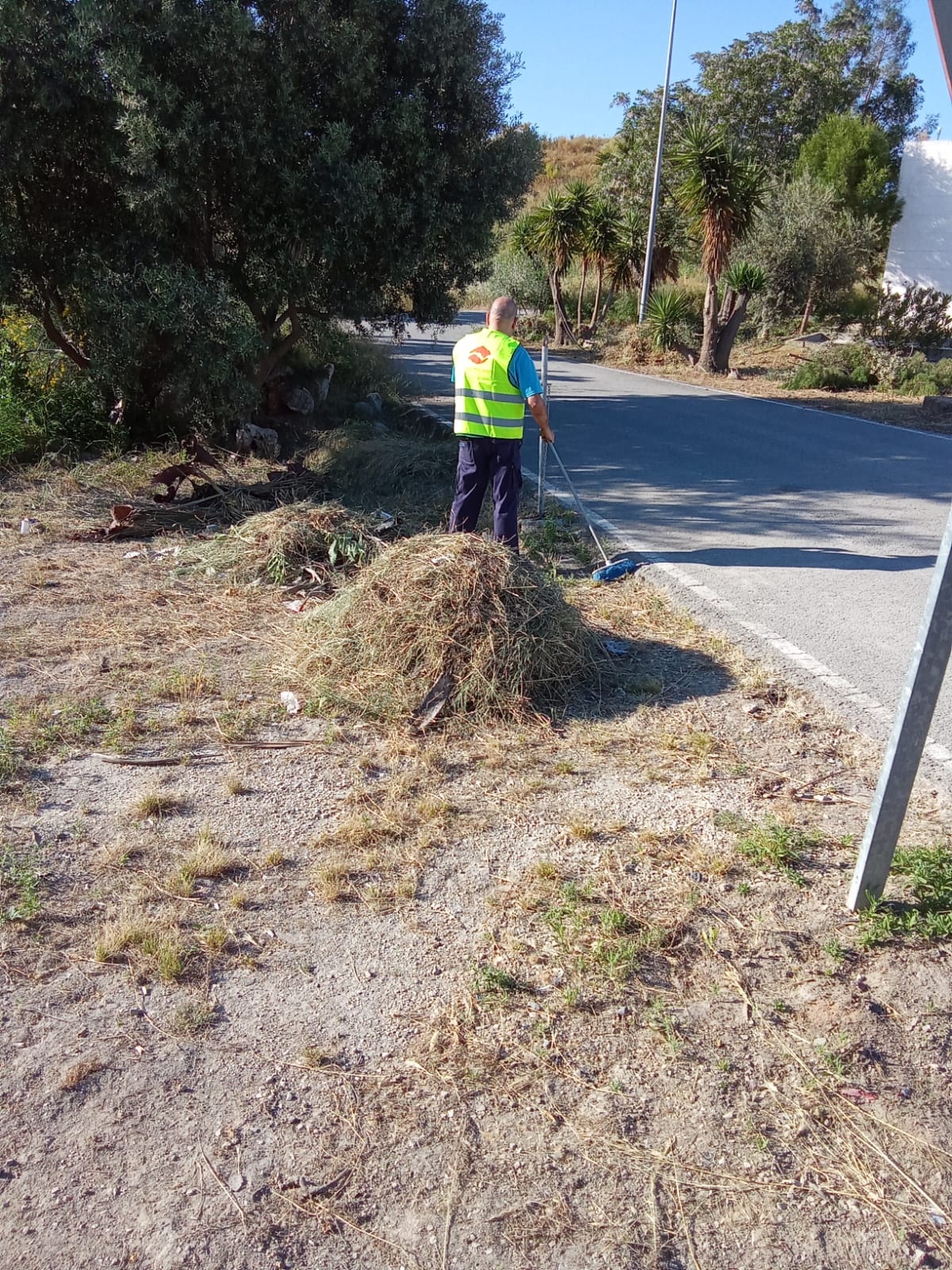 trabajador discapacidad mayo